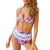 New Fashion Two Piece Womens High Waist Bikini Set